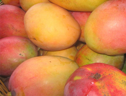 Mango