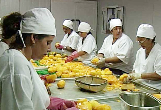 mercado y procesamiento de las frutas.